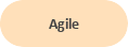 Agile Model